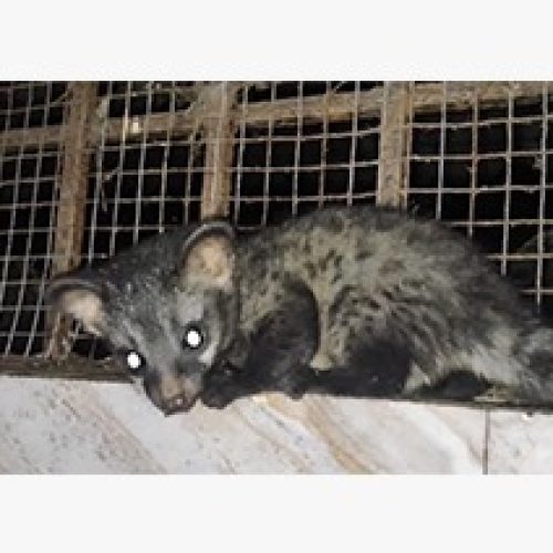 ಕಾರವಾರ ಬ್ರೇಕಿಂಗ್