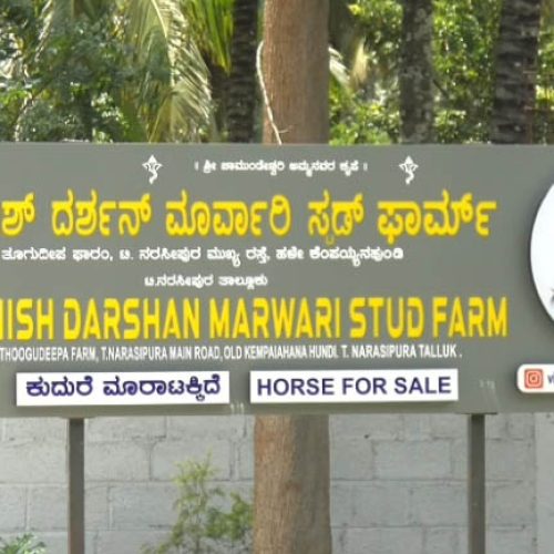 ದರ್ಶನ್ ಕುದುರೆಗಳು ಮಾರಾಟಕ್ಕಿವೆ