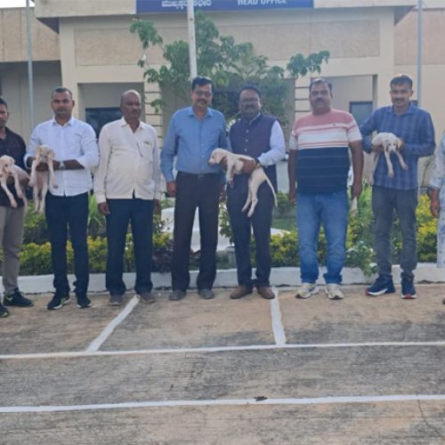 ಹೆಮ್ಮೆಯ ಮುಧೋಳ ಶ್ವಾನಕ್ಕೆ ಮತ್ತೊಂದು ಗರಿ